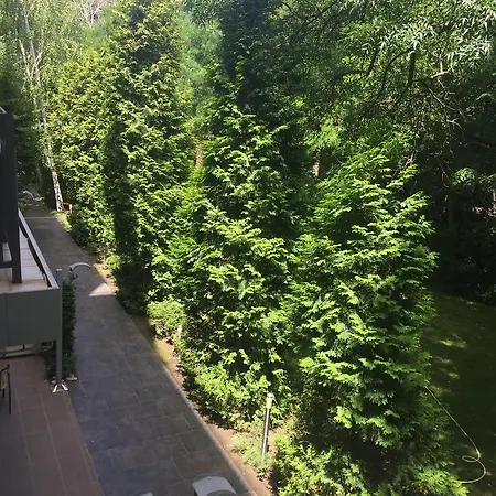 Sapphire Studio 阳光海滩